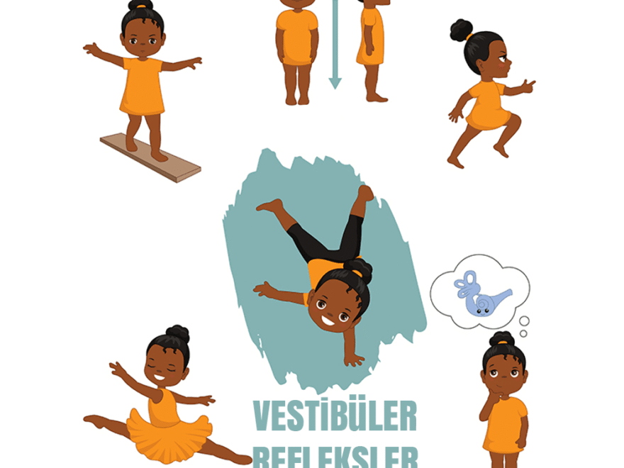 Vestibülospinal Refleksin İlişkili Çekirdeği ve Kritik Rolü [2026] - Kapak Görseli