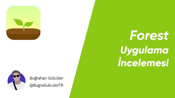 Forest uygulamasının psikoloji ve ilişkilerde sağladığı kanıtlanmış faydalar [2026] - Kapak Görseli
